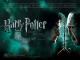 Harry Potter and the Deathly Hallows™ Part 2 in Concert Transportation