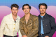 Jonas Brothers Transportation