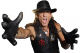 Stephen Pearcy Transportation