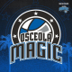 Osceola Magic vs. Capital City Go-Go Transportation